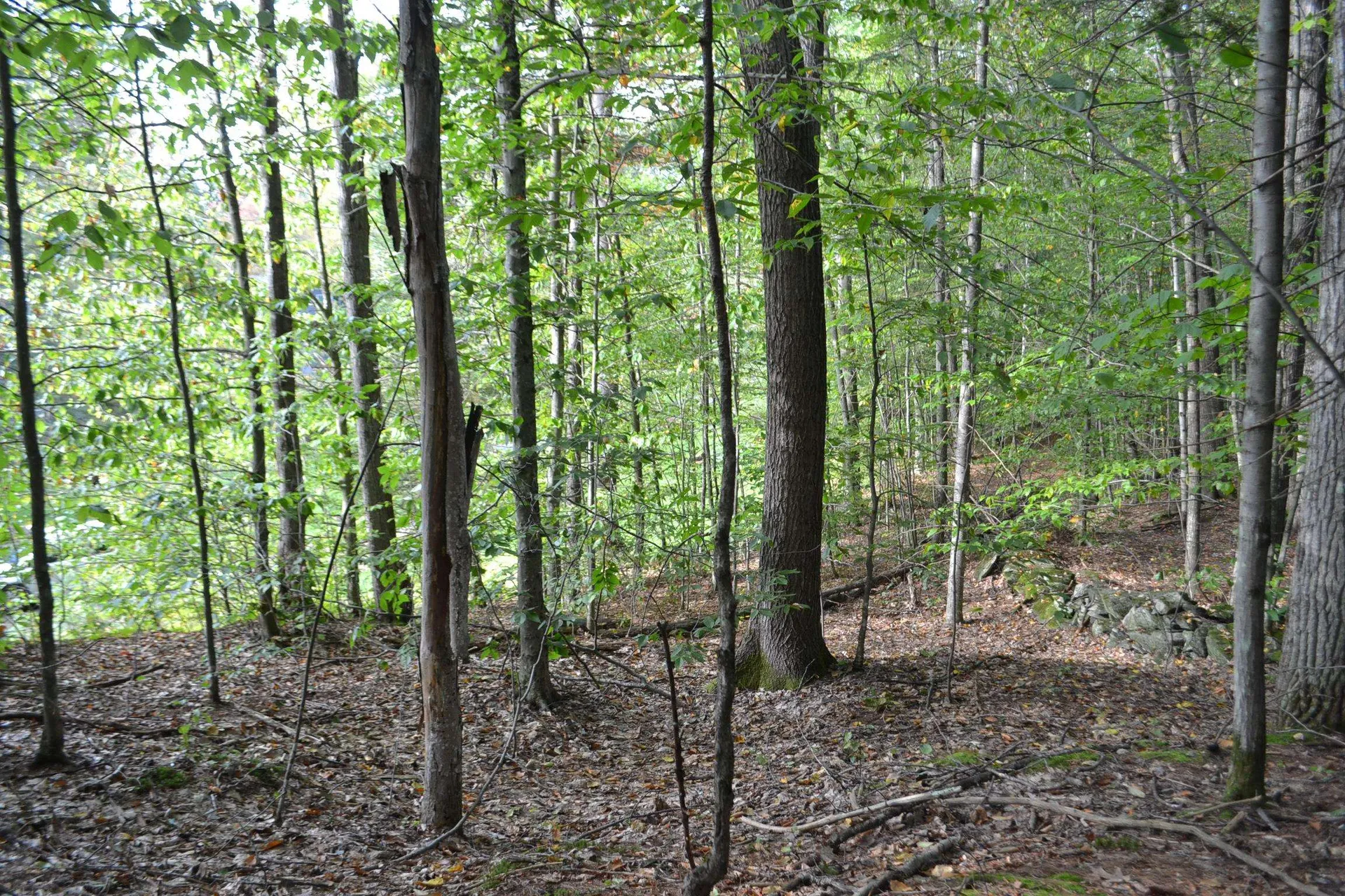 Off Parkside Drive Montpelier VT 05602