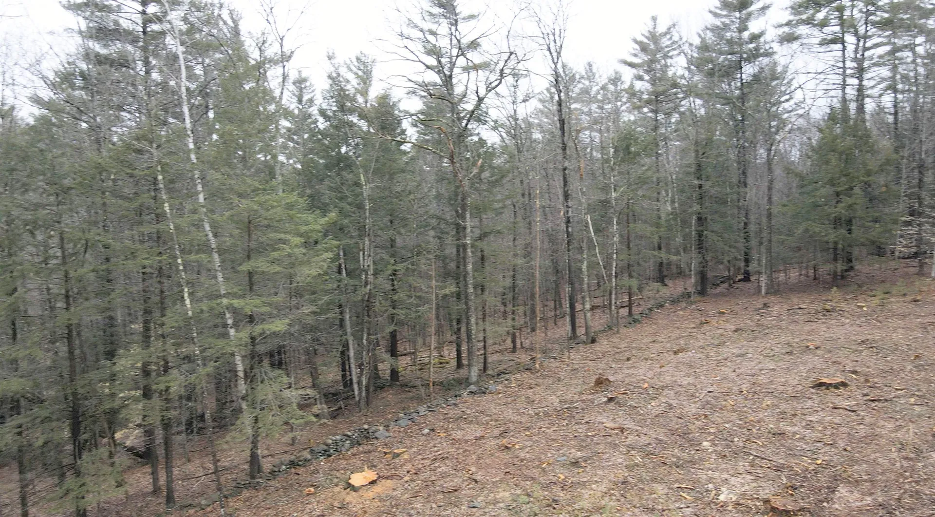 68 Norris Road Orford NH 03777
