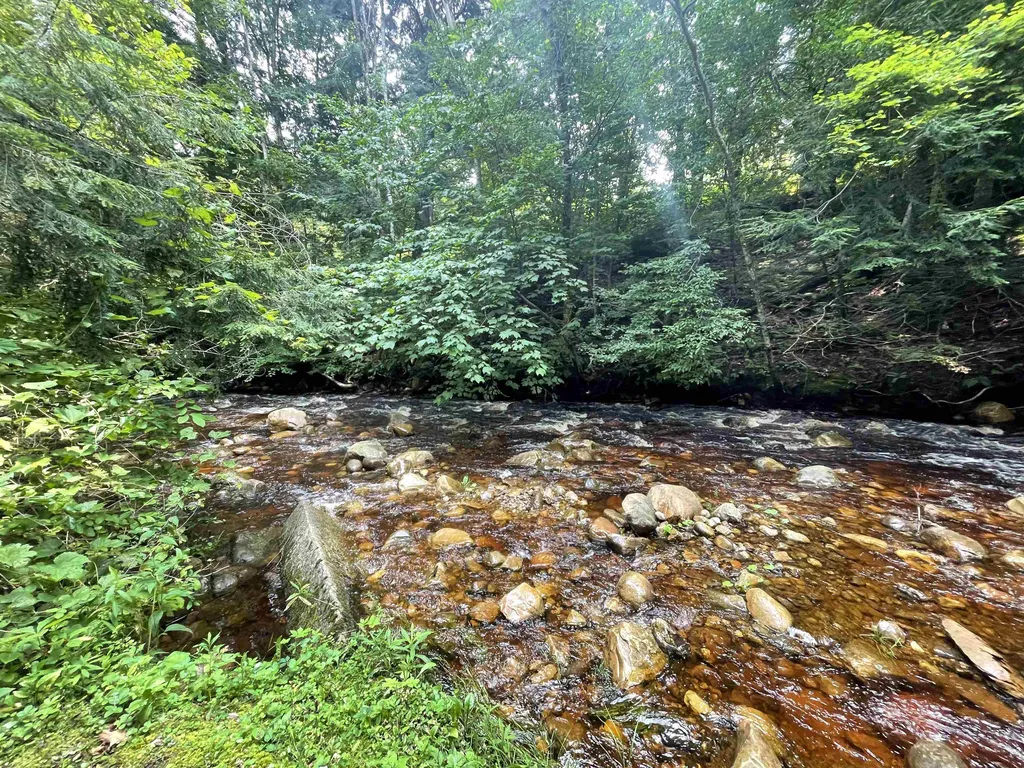 121 Mattison Road Sunderland VT 05250