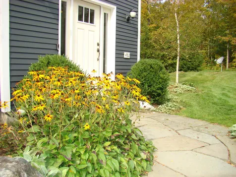 482 Pratt Bridge Road Jamaica VT 05343
