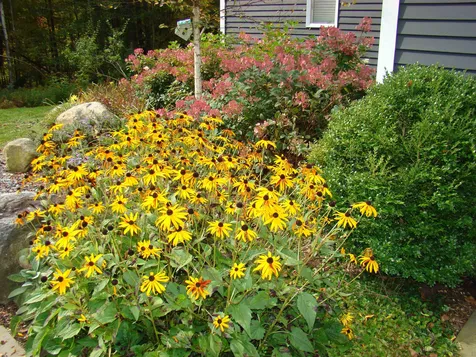 482 Pratt Bridge Road Jamaica VT 05343