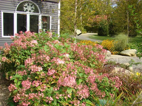 482 Pratt Bridge Road Jamaica VT 05343