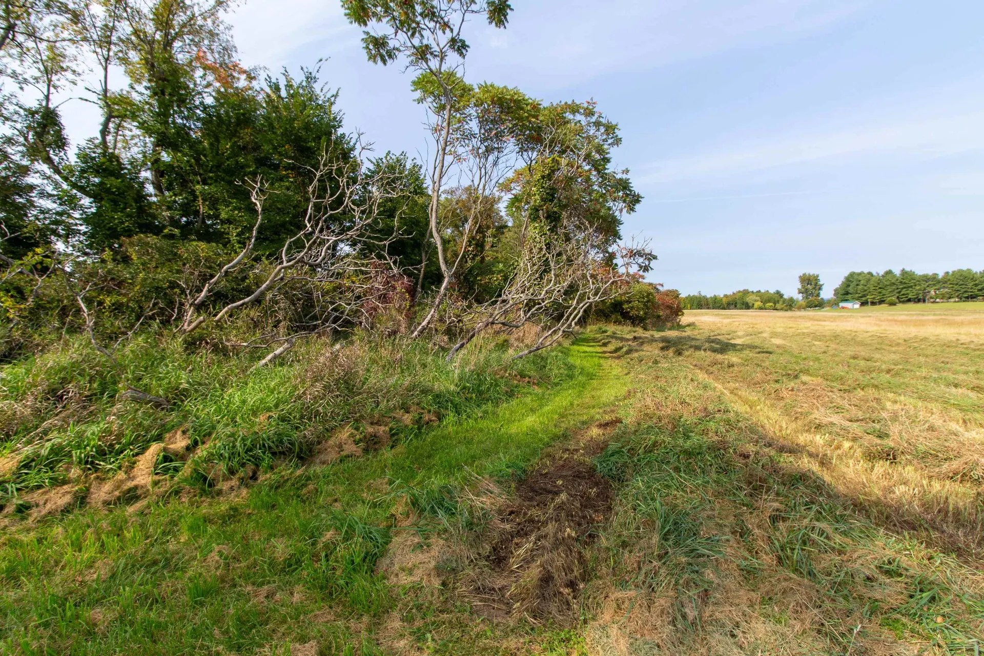 109 Kibbe Point Road South Hero VT 05486