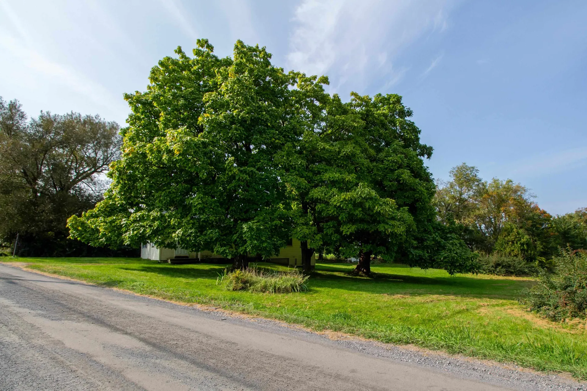 109 Kibbe Point Road South Hero VT 05486