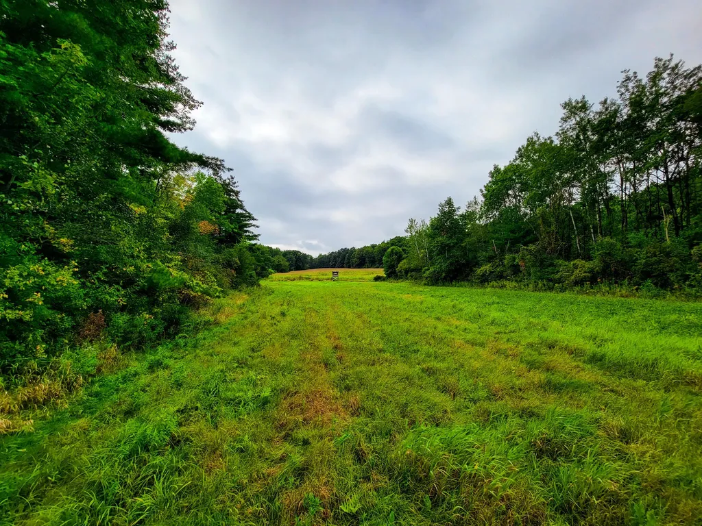 265 Quarry Road Sudbury VT 05733