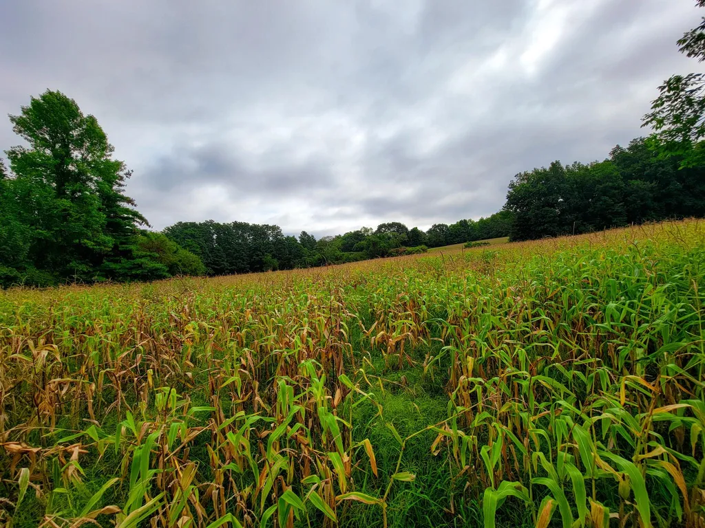 265 Quarry Road Sudbury VT 05733
