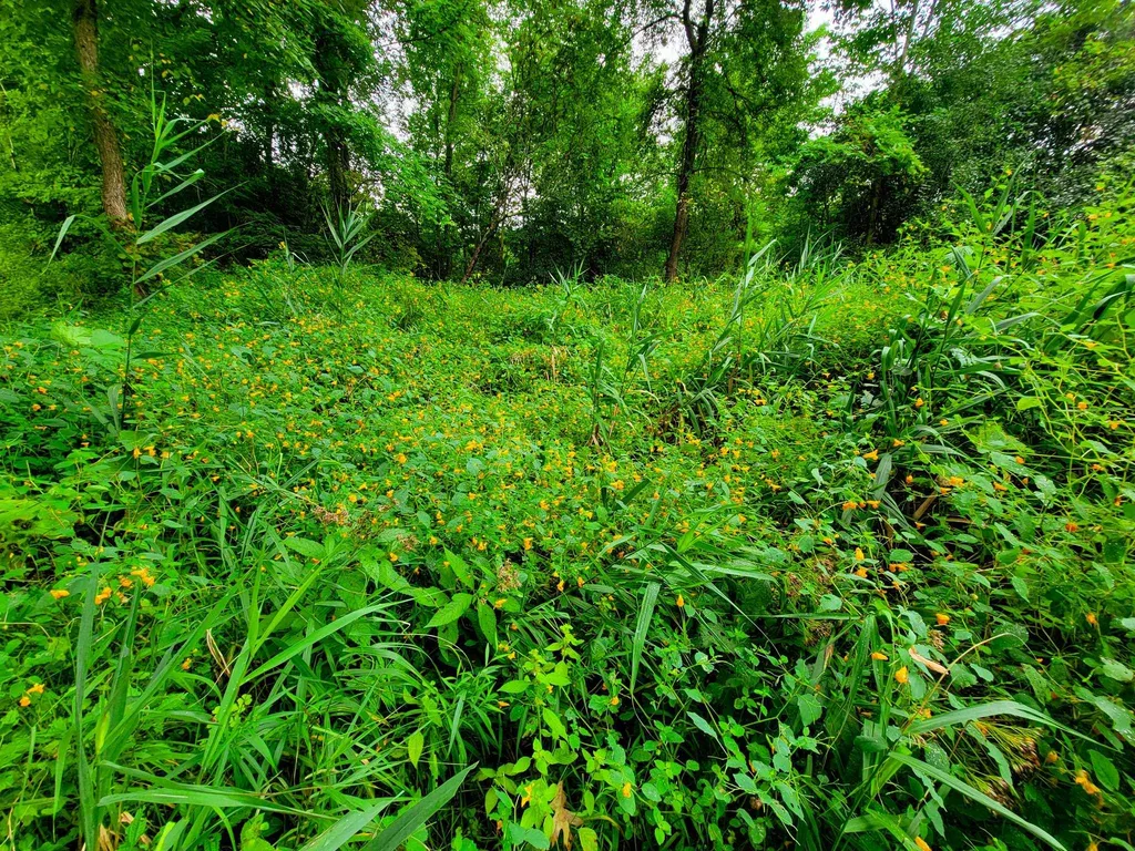 265 Quarry Road Sudbury VT 05733