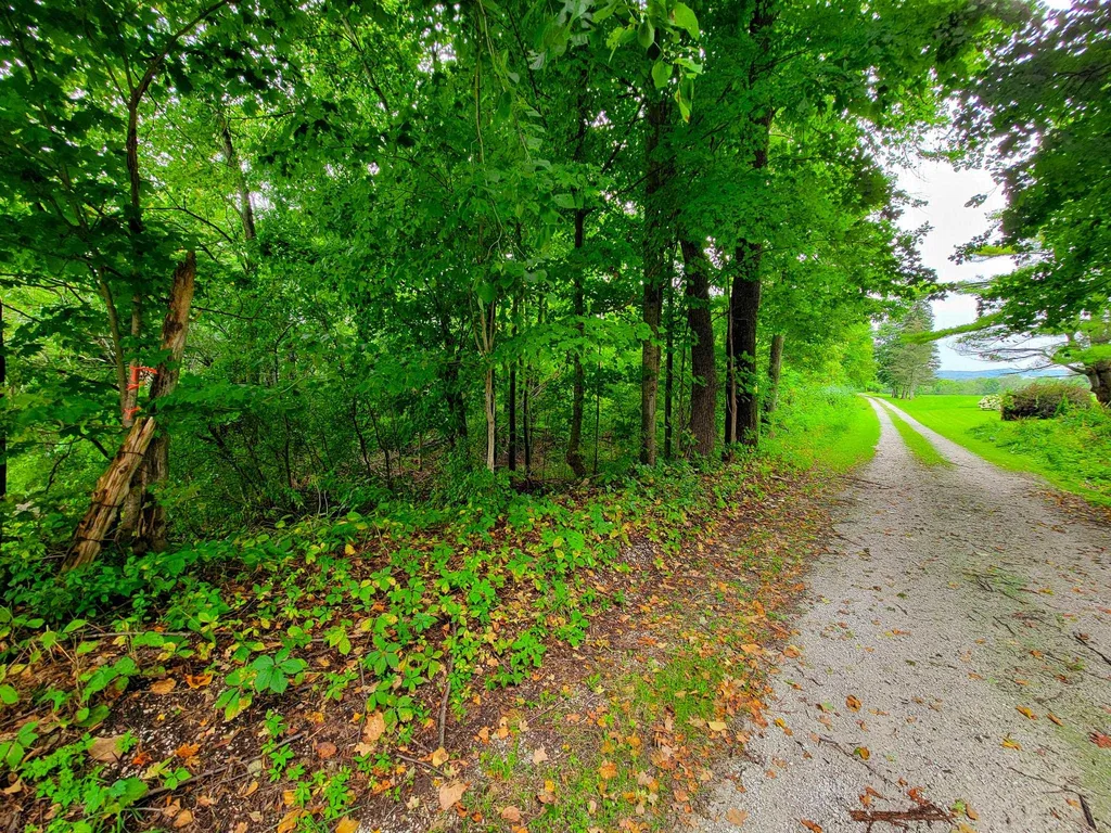 265 Quarry Road Sudbury VT 05733