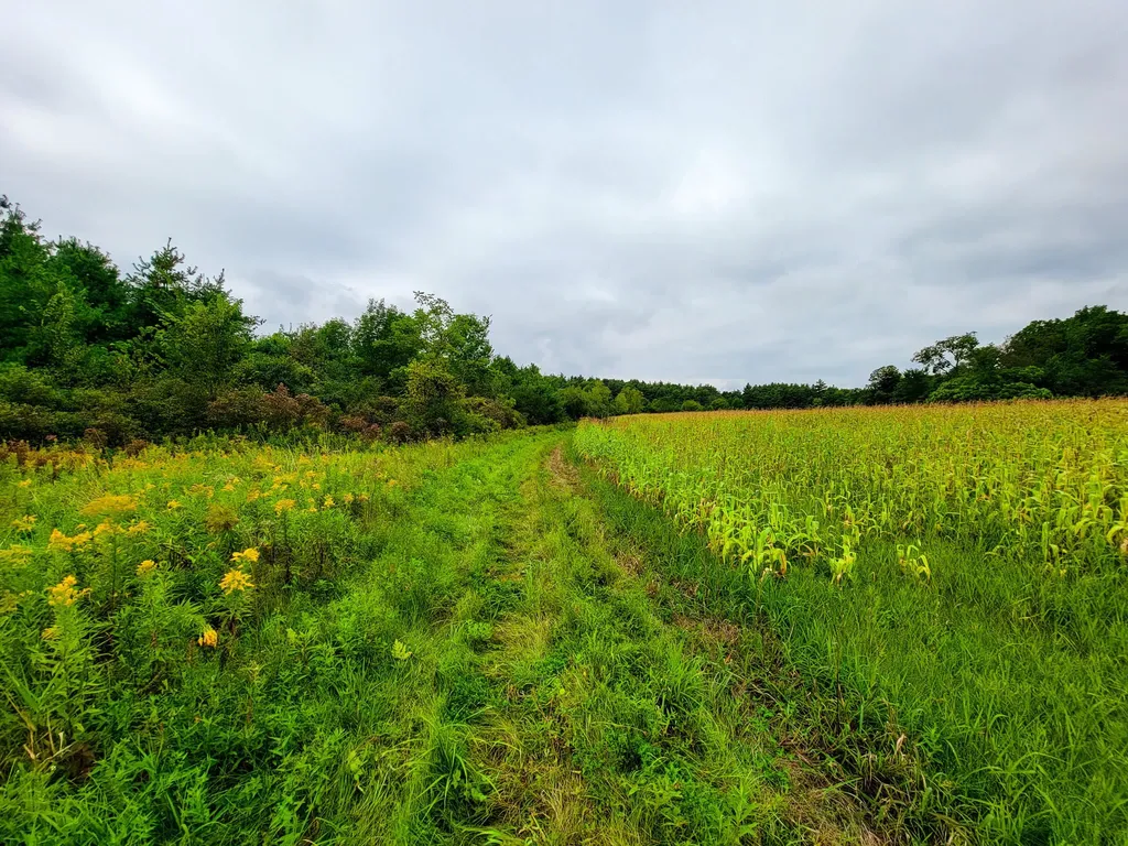 265 Quarry Road Sudbury VT 05733