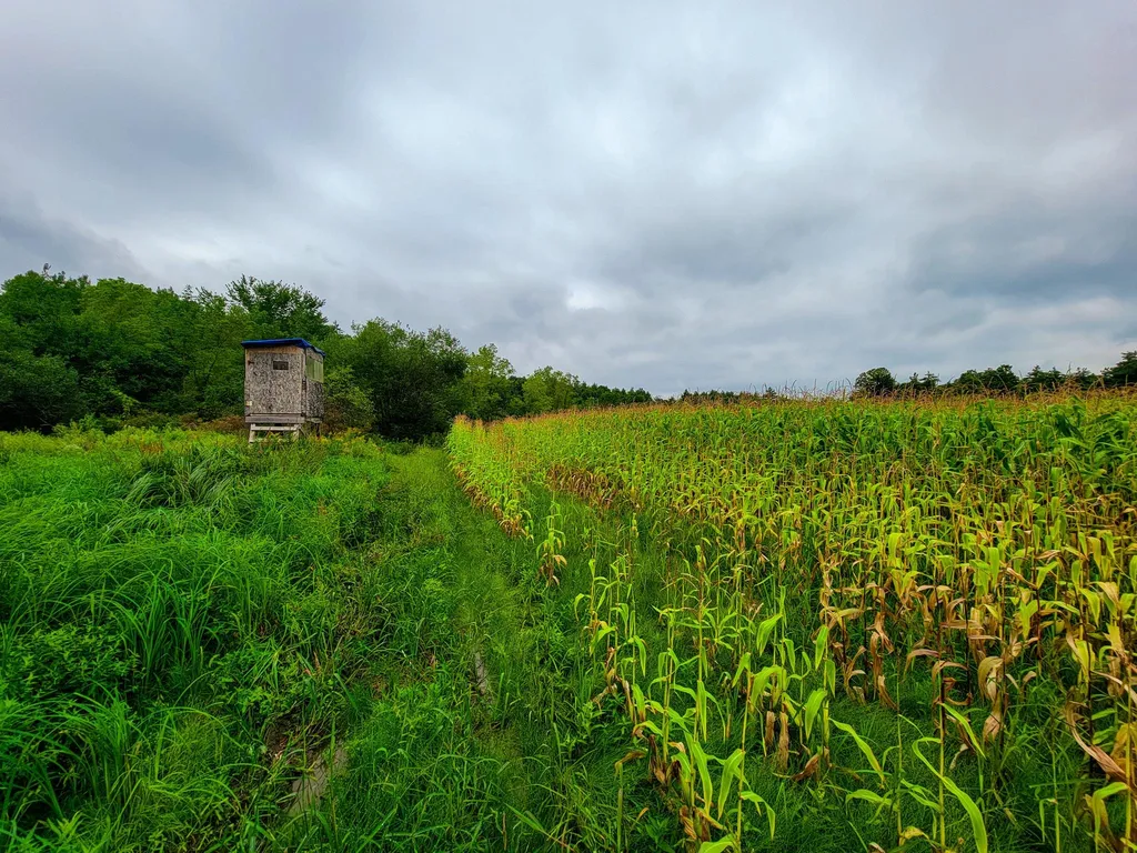 265 Quarry Road Sudbury VT 05733