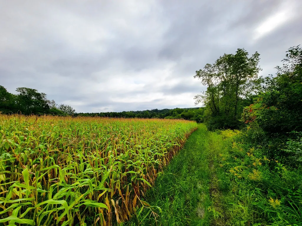 265 Quarry Road Sudbury VT 05733