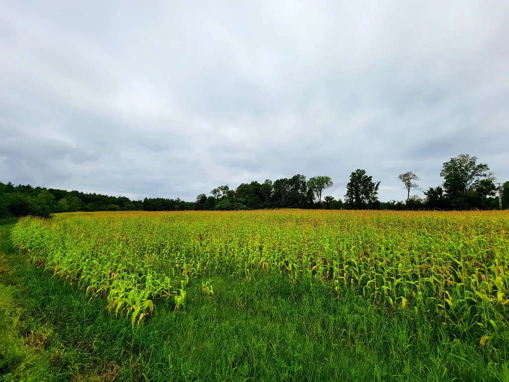 265 Quarry Road Sudbury VT 05733