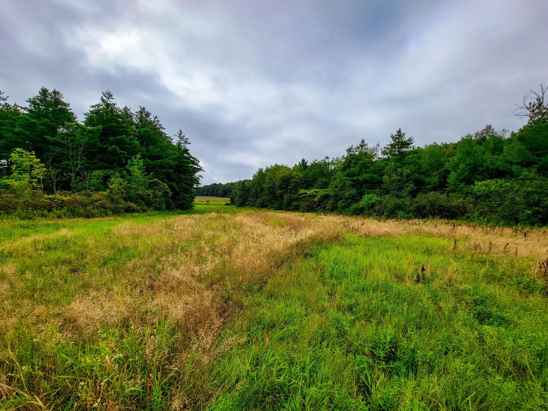 265 Quarry Road Sudbury VT 05733