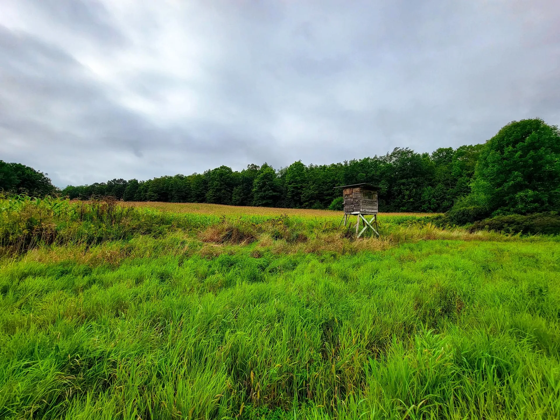 265 Quarry Road Sudbury VT 05733