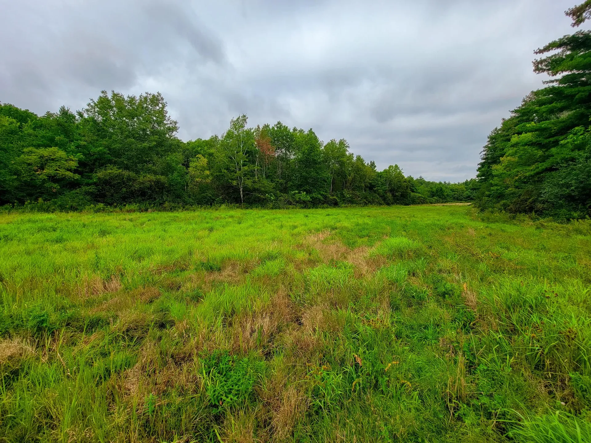 265 Quarry Road Sudbury VT 05733