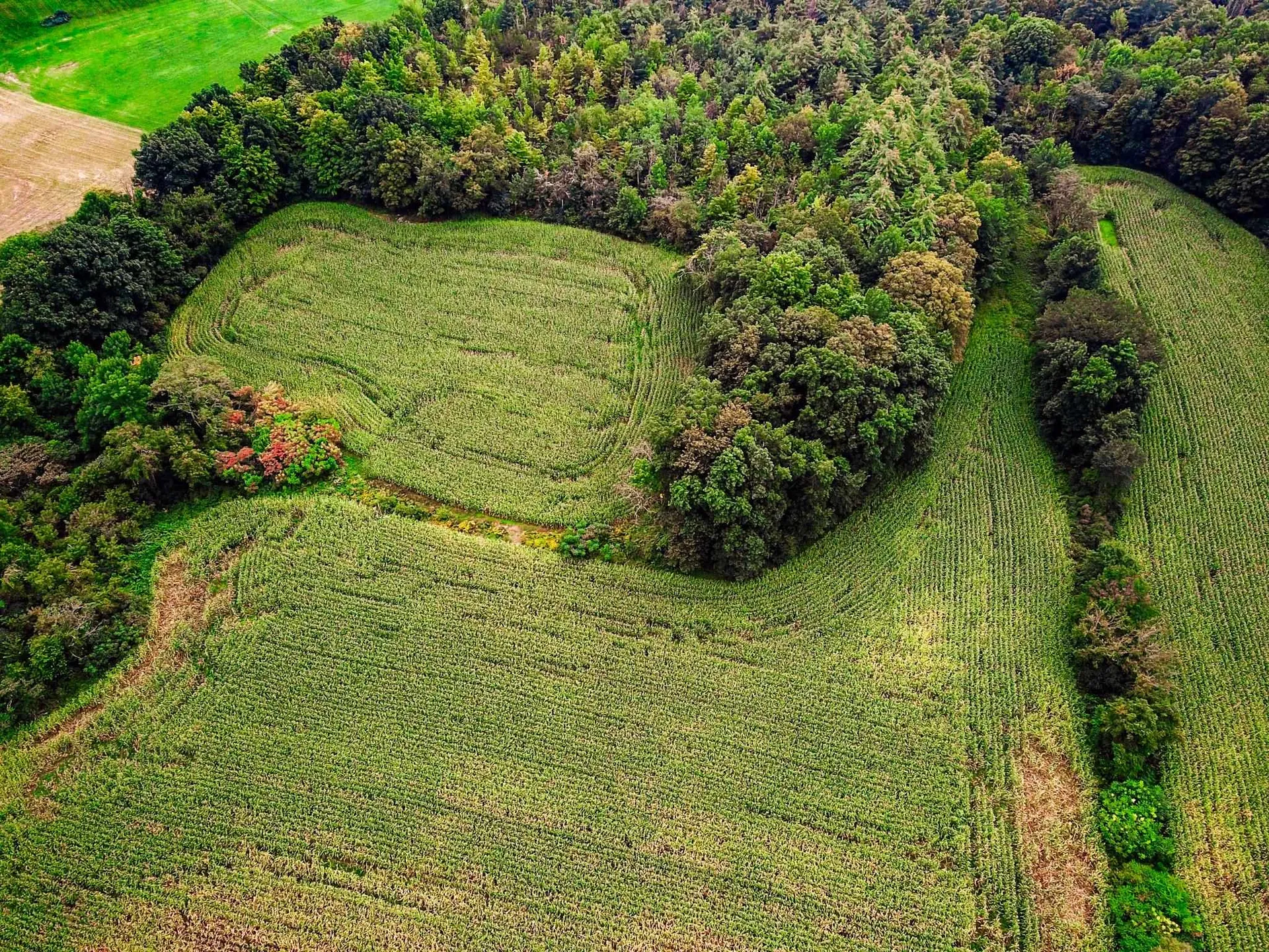 265 Quarry Road Sudbury VT 05733