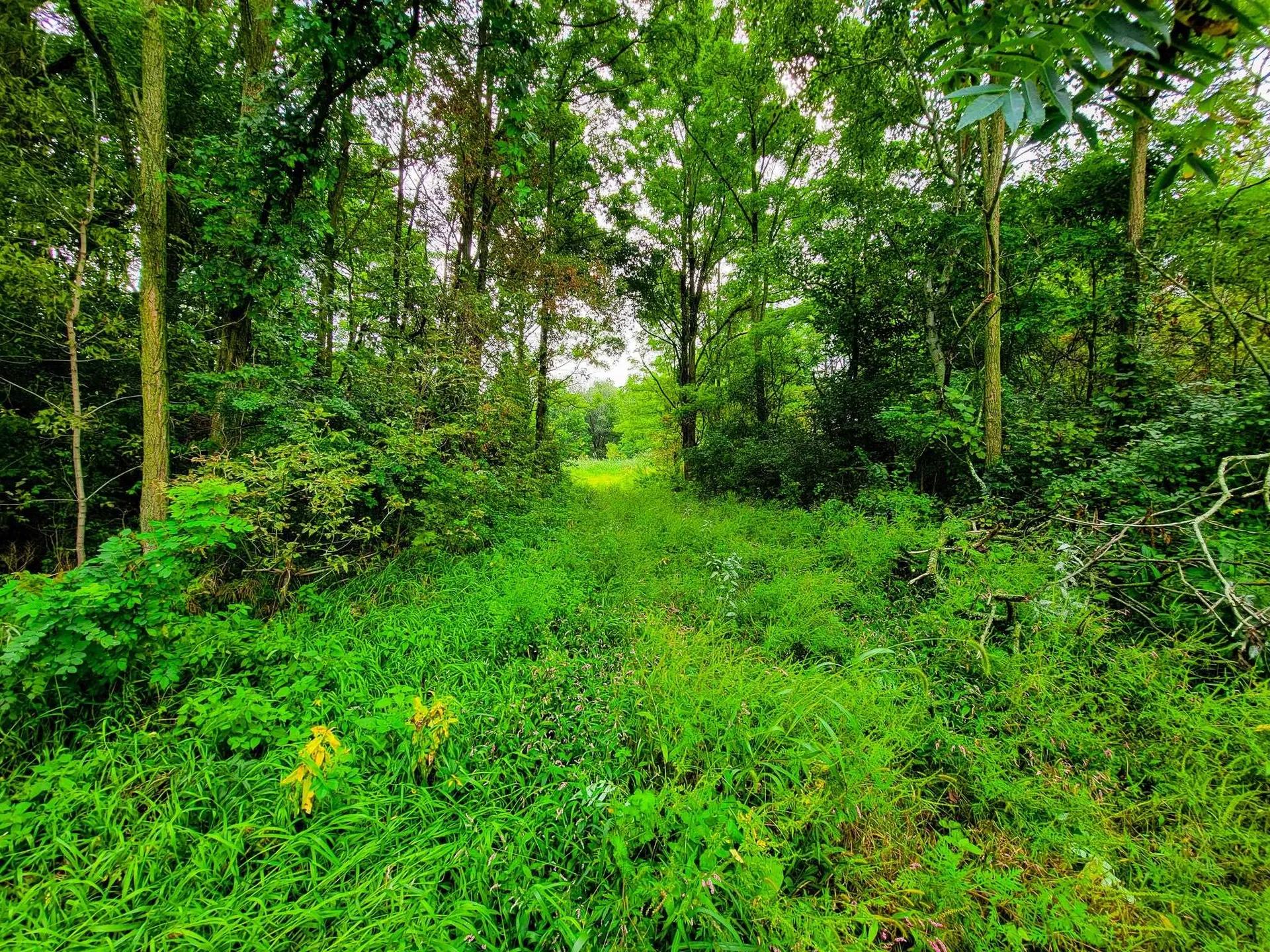 265 Quarry Road Sudbury VT 05733