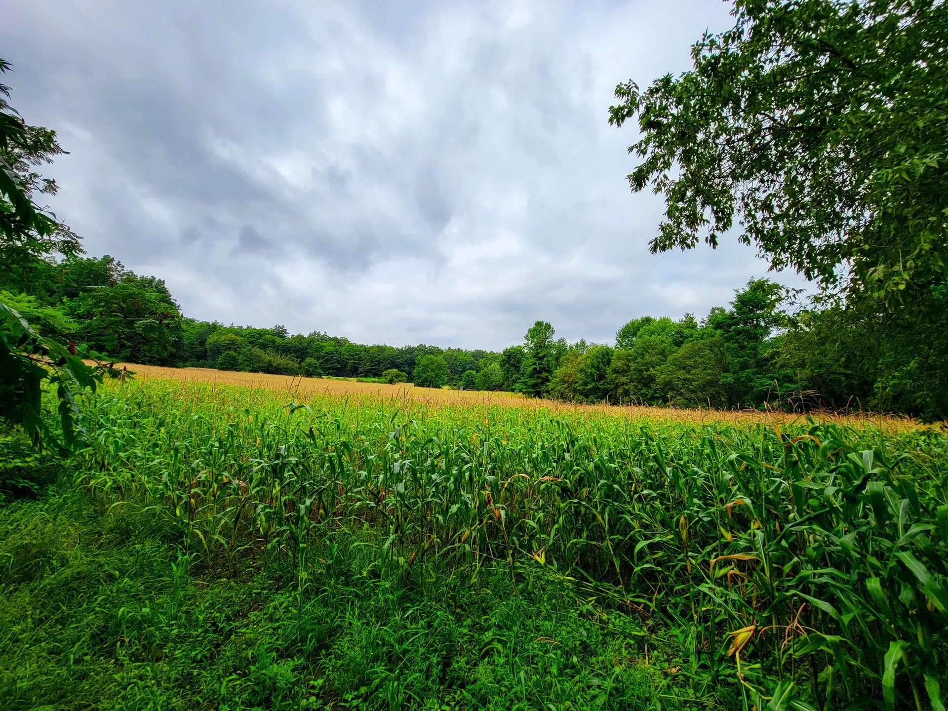 265 Quarry Road Sudbury VT 05733