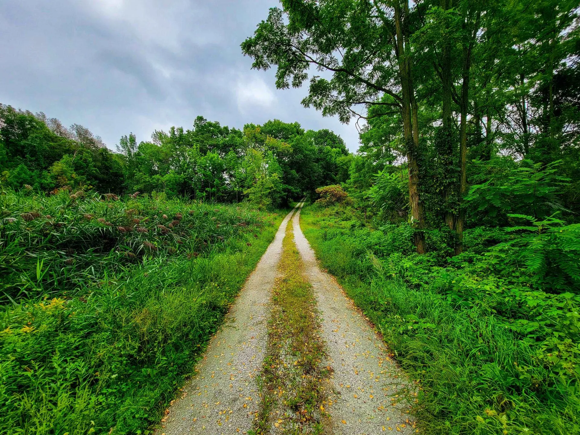 265 Quarry Road Sudbury VT 05733