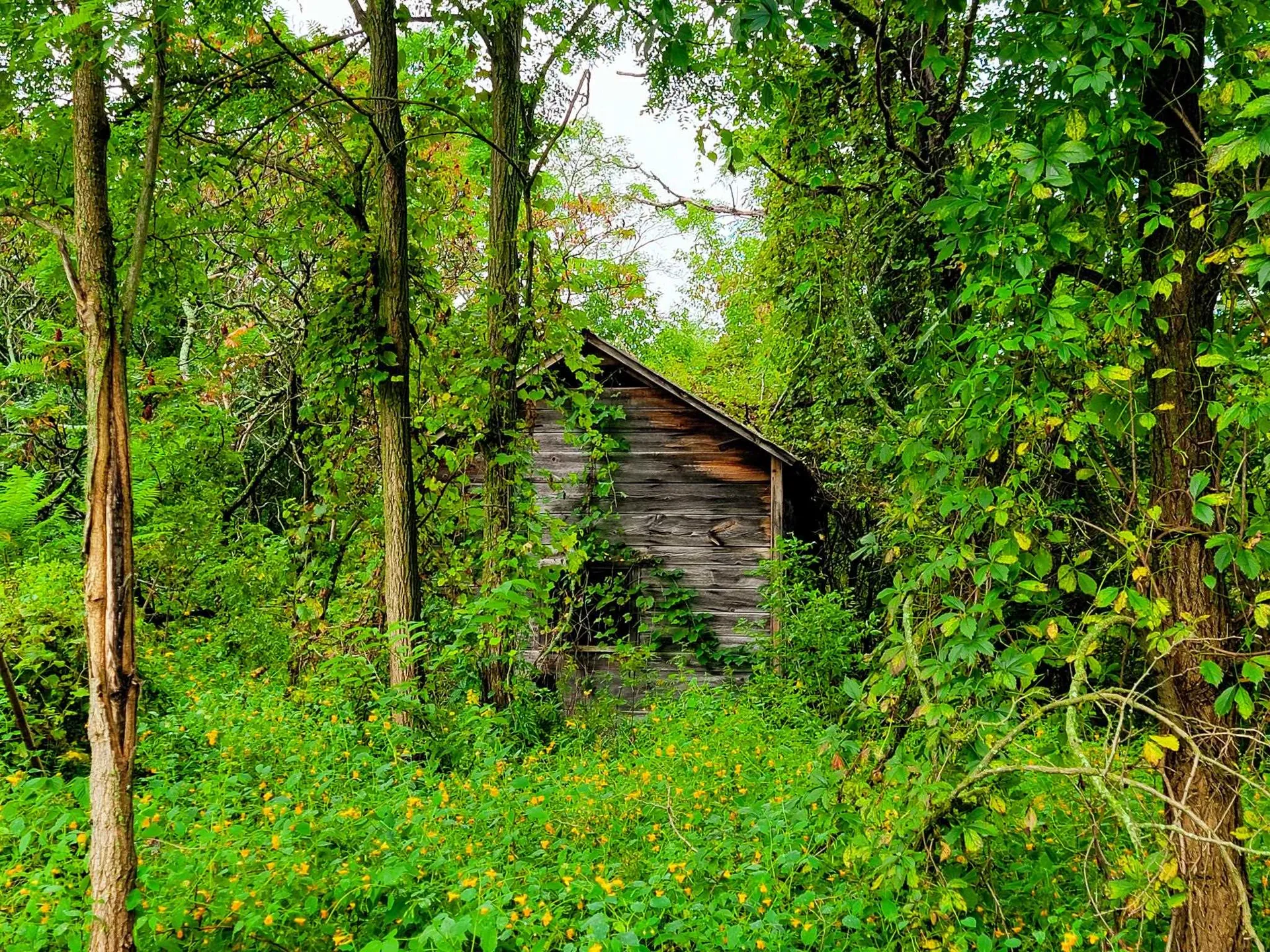 265 Quarry Road Sudbury VT 05733