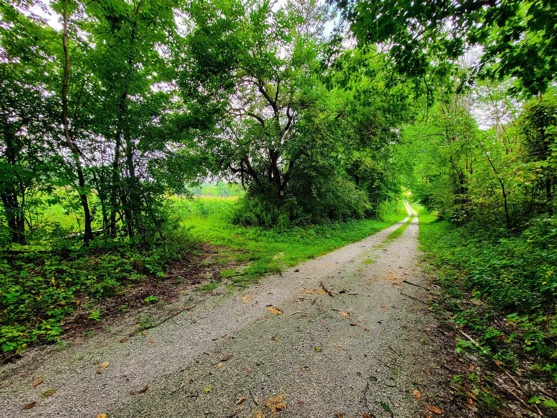265 Quarry Road Sudbury VT 05733