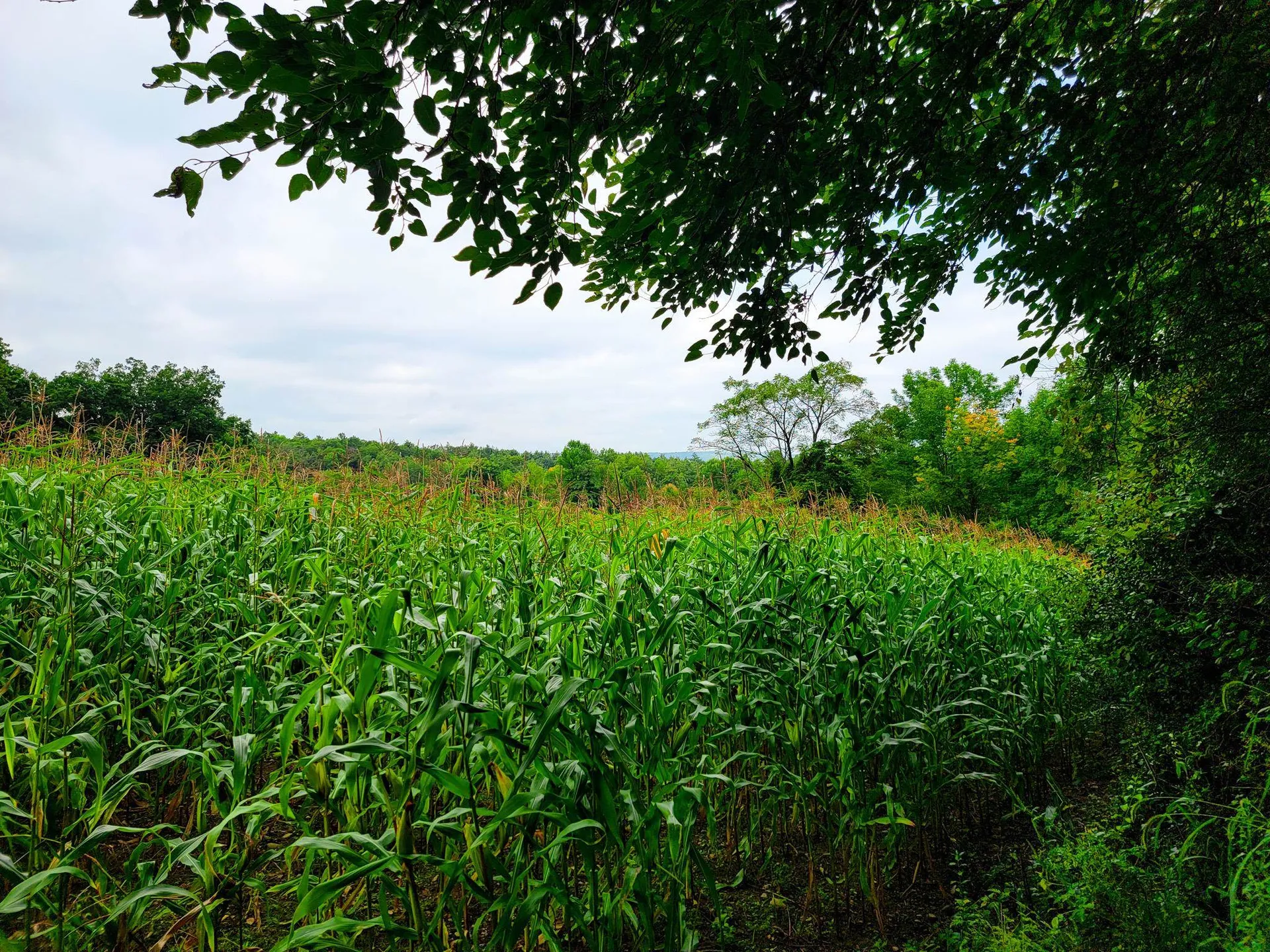 265 Quarry Road Sudbury VT 05733