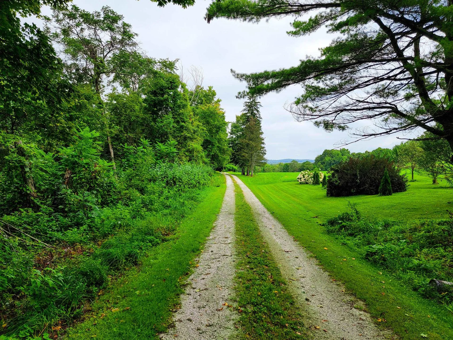 265 Quarry Road Sudbury VT 05733