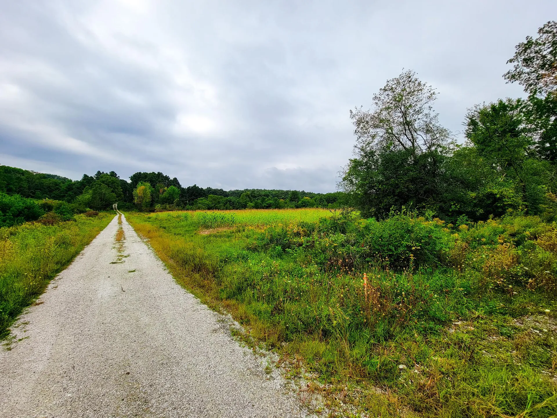 265 Quarry Road Sudbury VT 05733