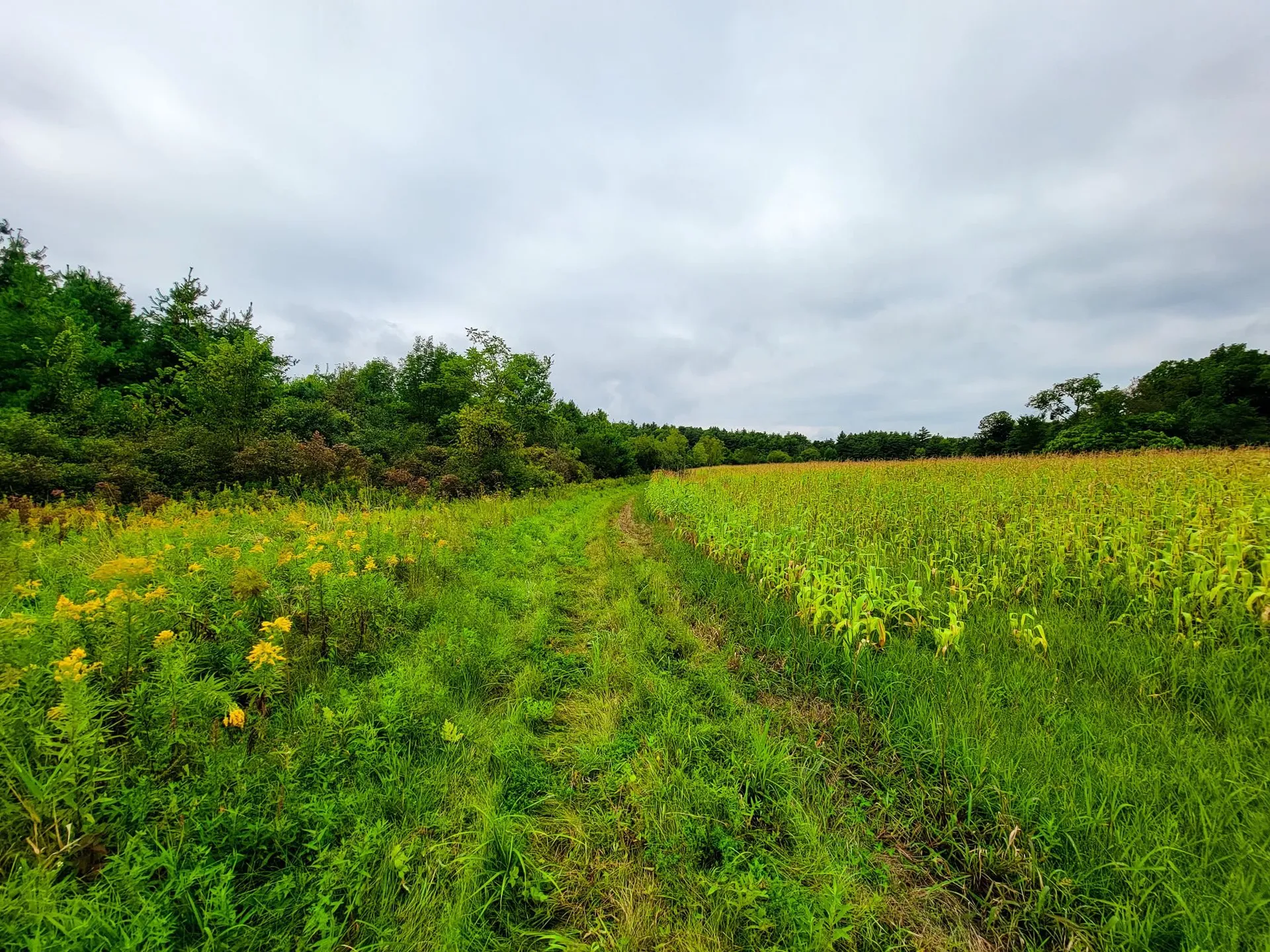 265 Quarry Road Sudbury VT 05733