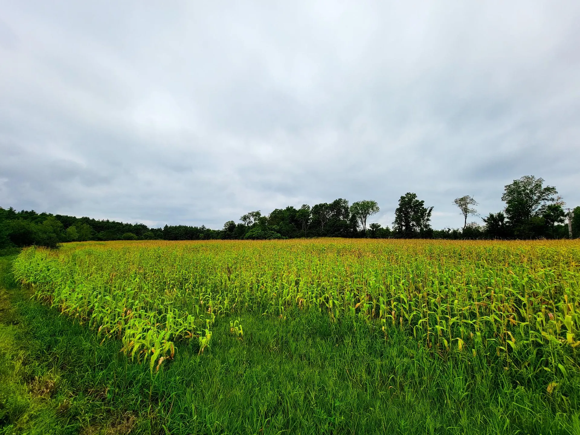 265 Quarry Road Sudbury VT 05733