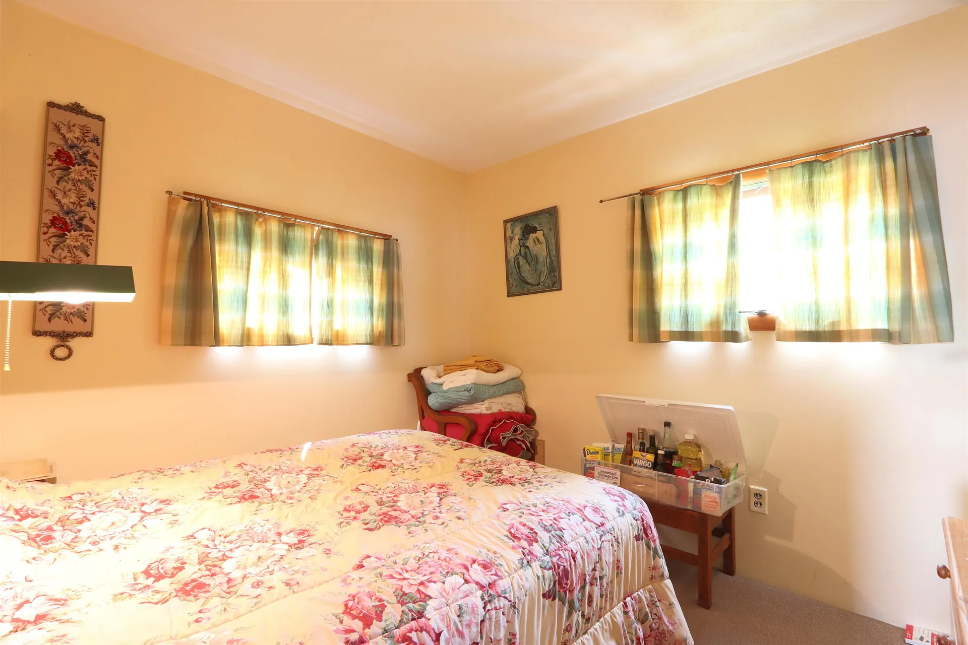 52 Meadow Lane Cabot VT 05647