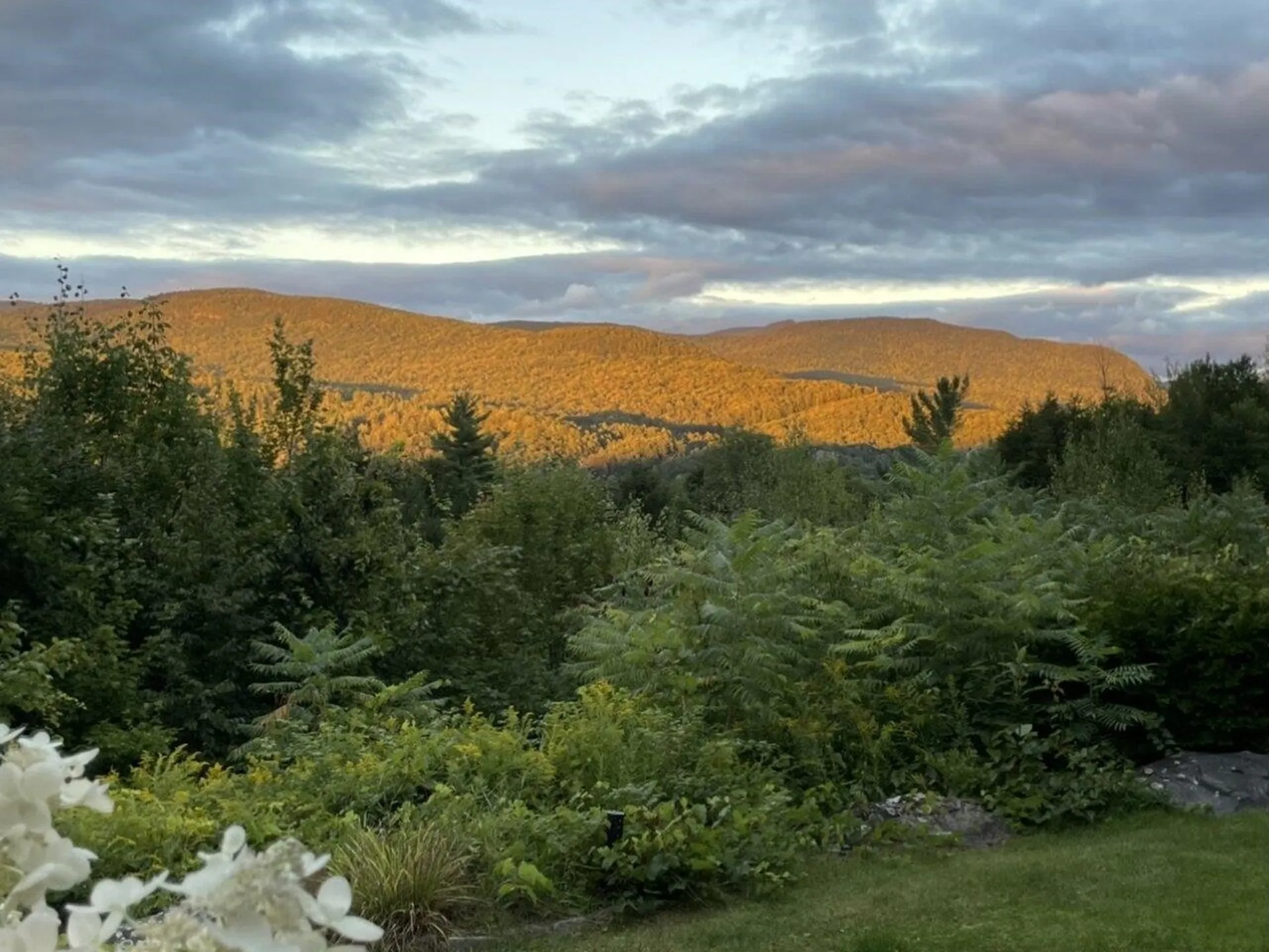 445 Greystone Drive Richmond VT 05477