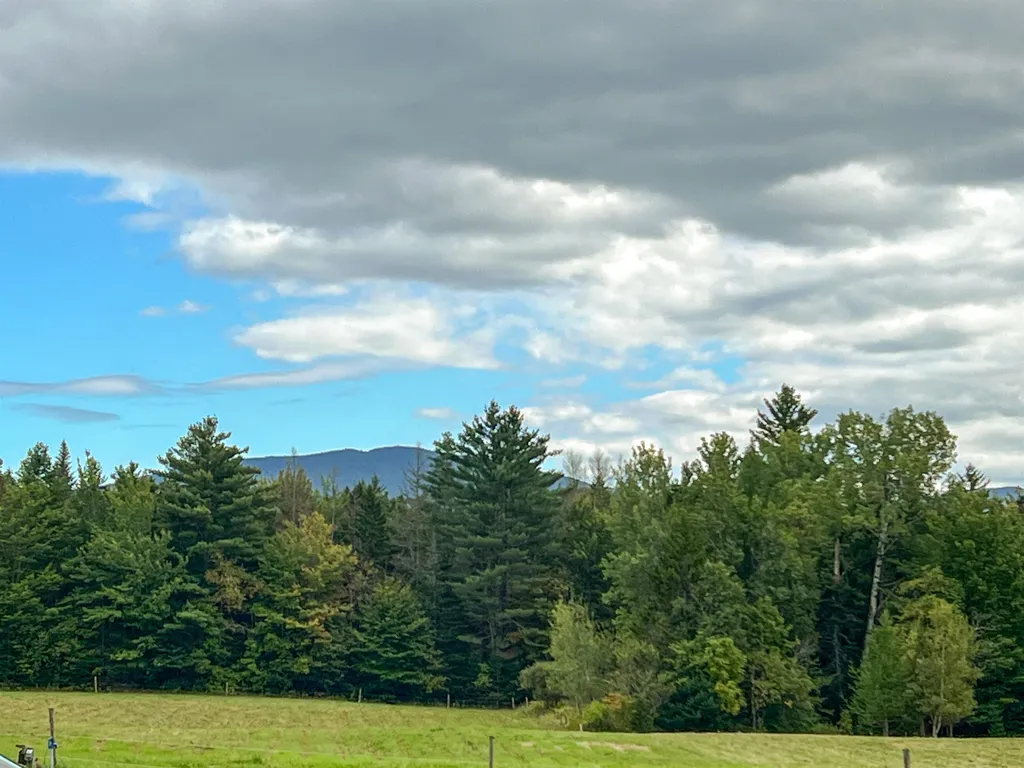 336 Stanley Lane Mount Holly VT 05758