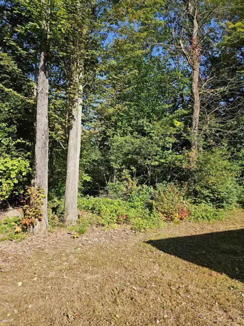 34 Cherry Street Belmont NH 03220
