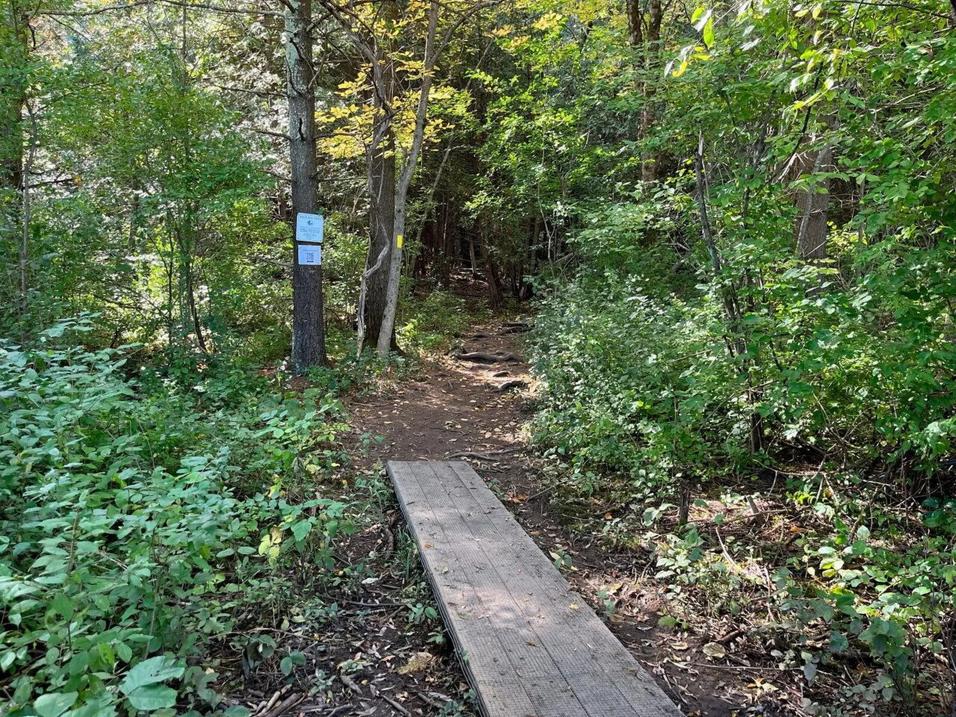 2938 Mount Philo Road Charlotte VT 05445