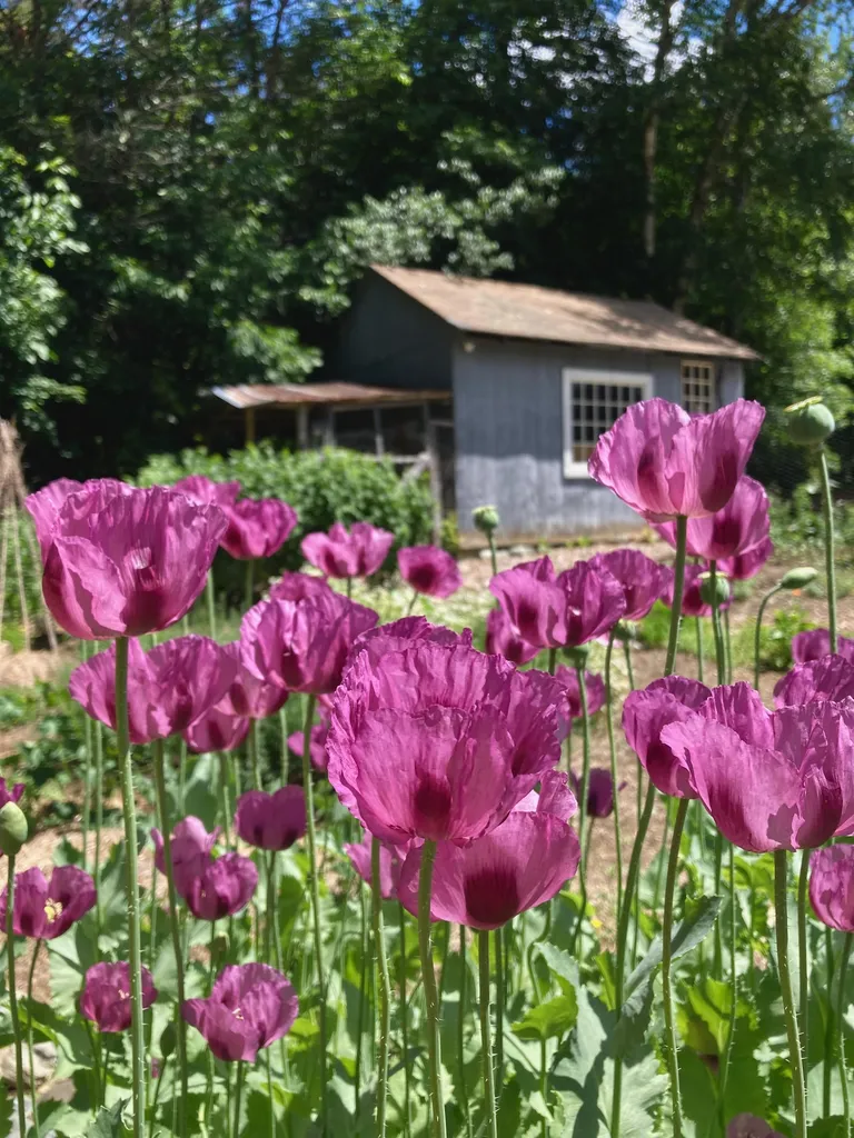 25 Wilder Road Worcester VT 05682