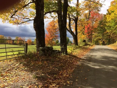 1664 Grant Road Marlboro VT 05363