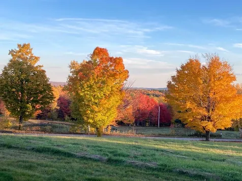 1664 Grant Road Marlboro VT 05363