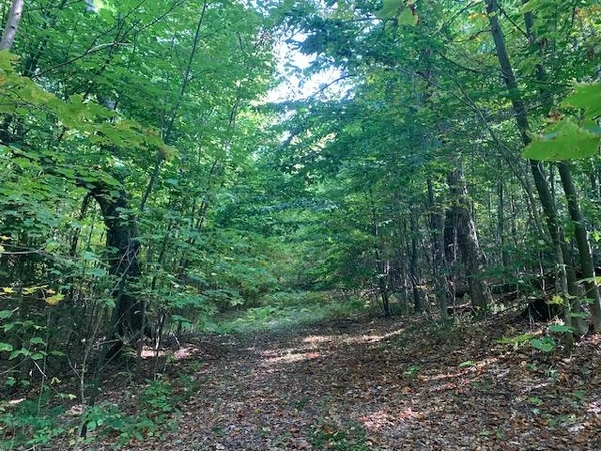 1747 Long Hill Road Woodstock VT 05091