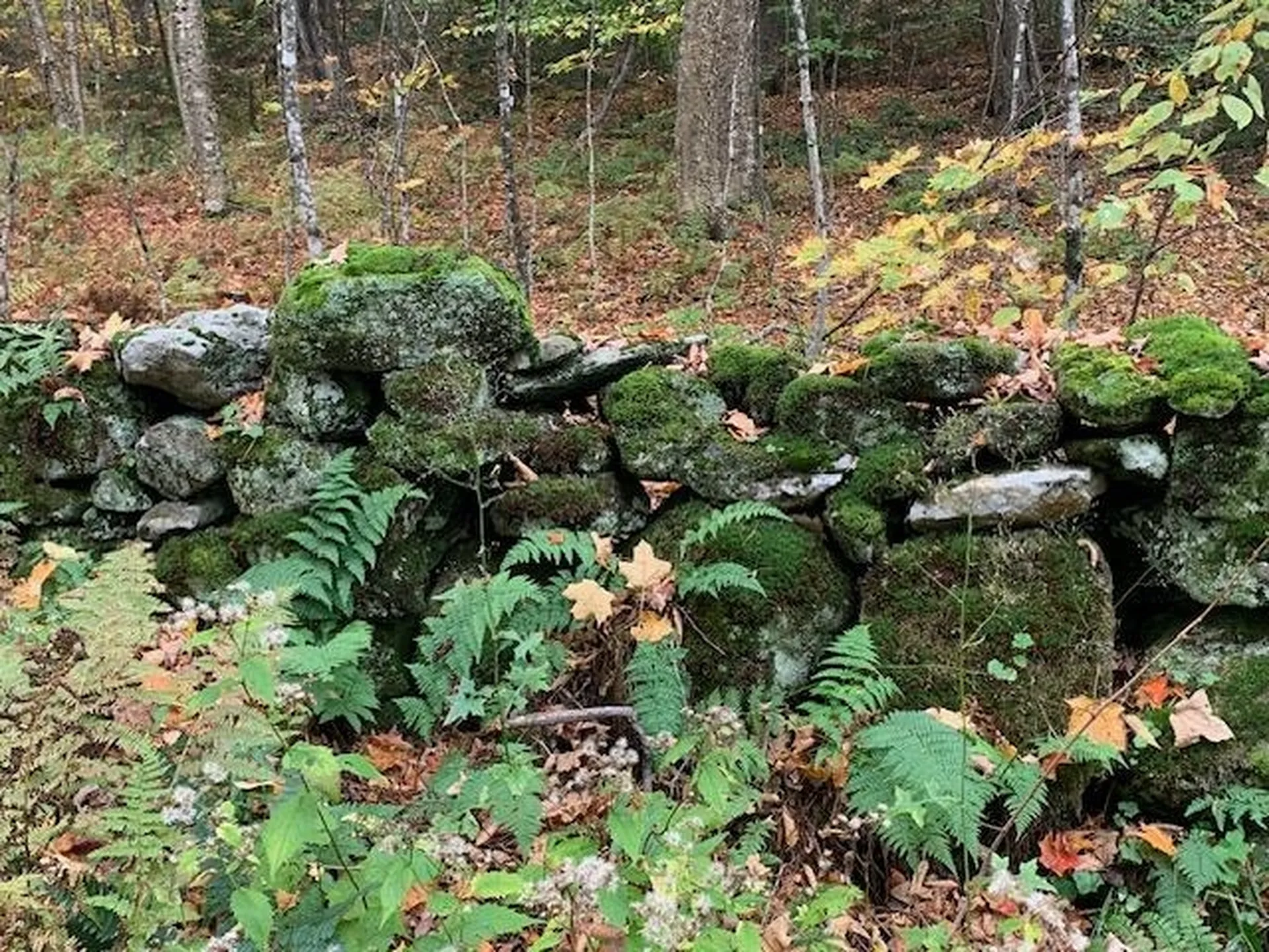 1747 Long Hill Road Woodstock VT 05091