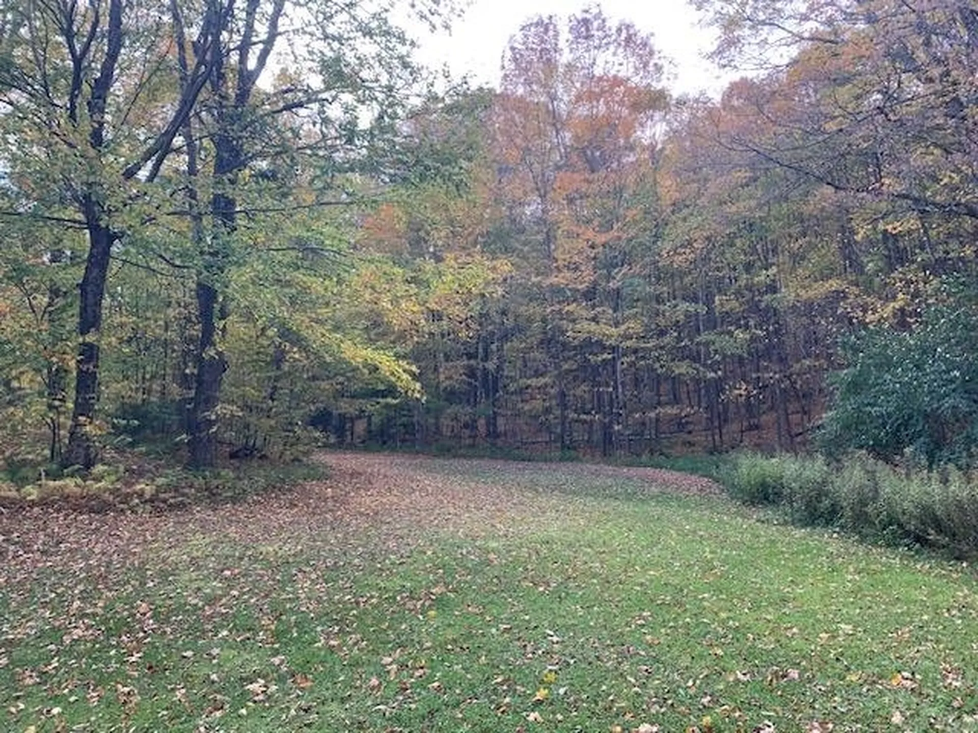 1747 Long Hill Road Woodstock VT 05091