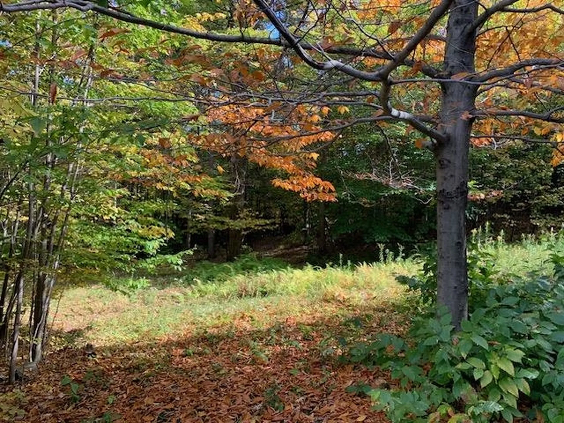 1747 Long Hill Road Woodstock VT 05091