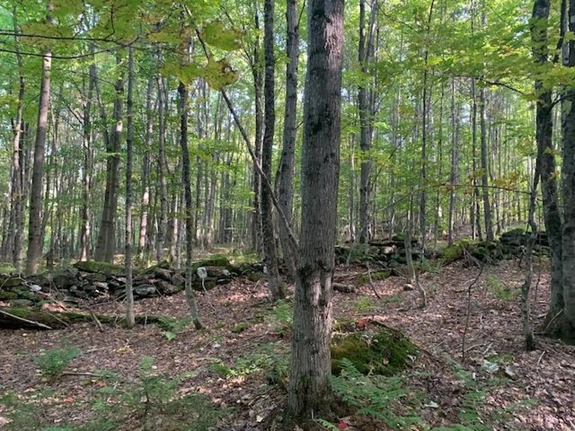 1747 Long Hill Road Woodstock VT 05091