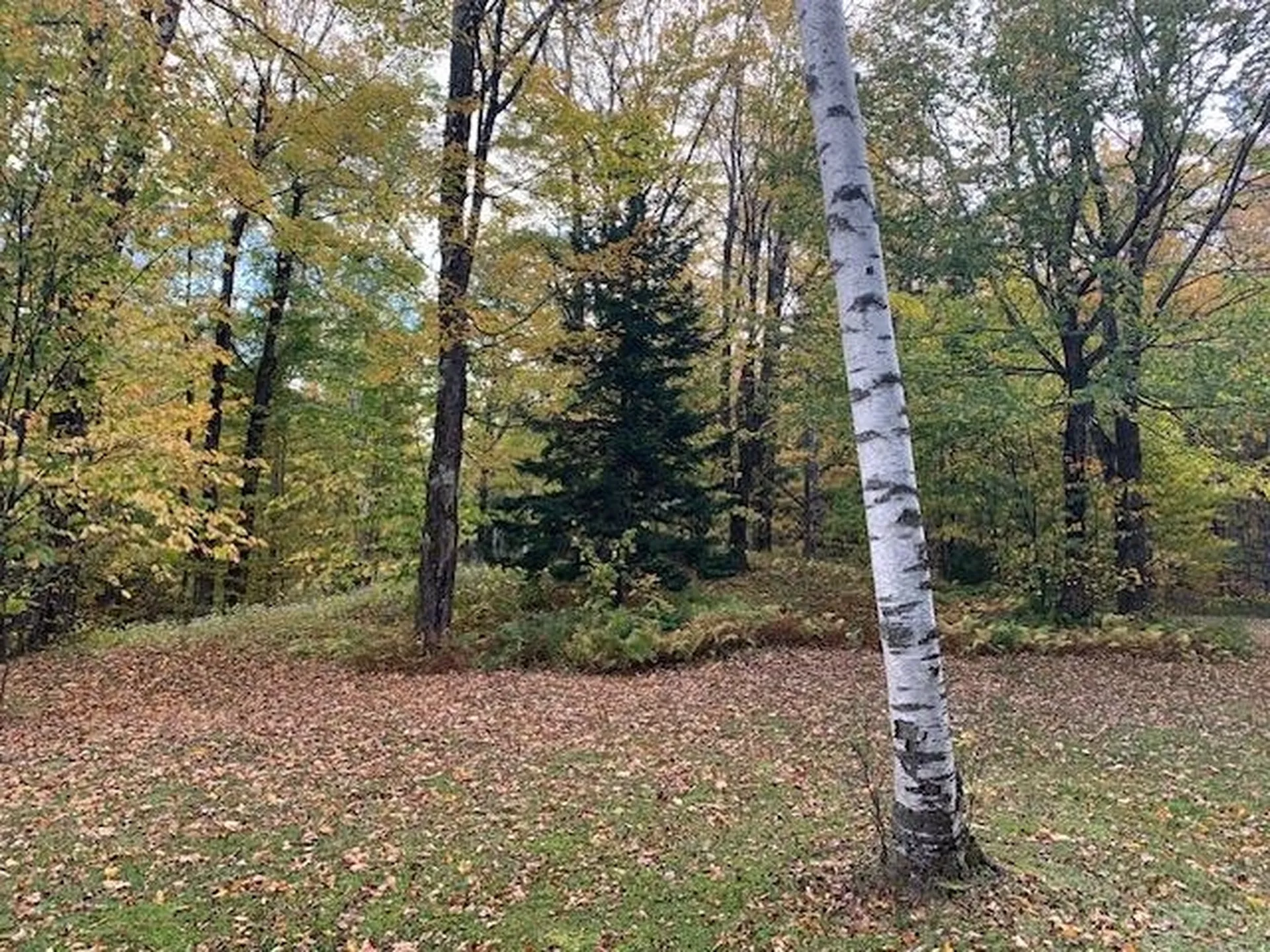 1747 Long Hill Road Woodstock VT 05091
