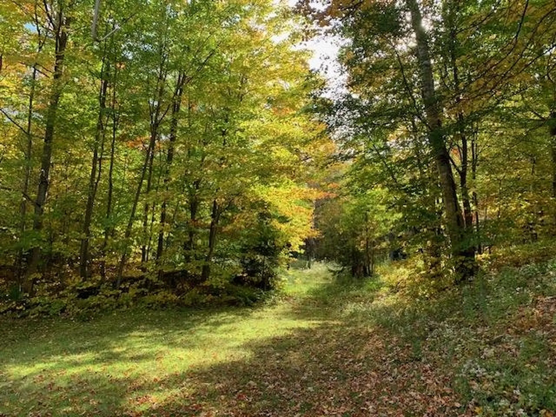 1747 Long Hill Road Woodstock VT 05091