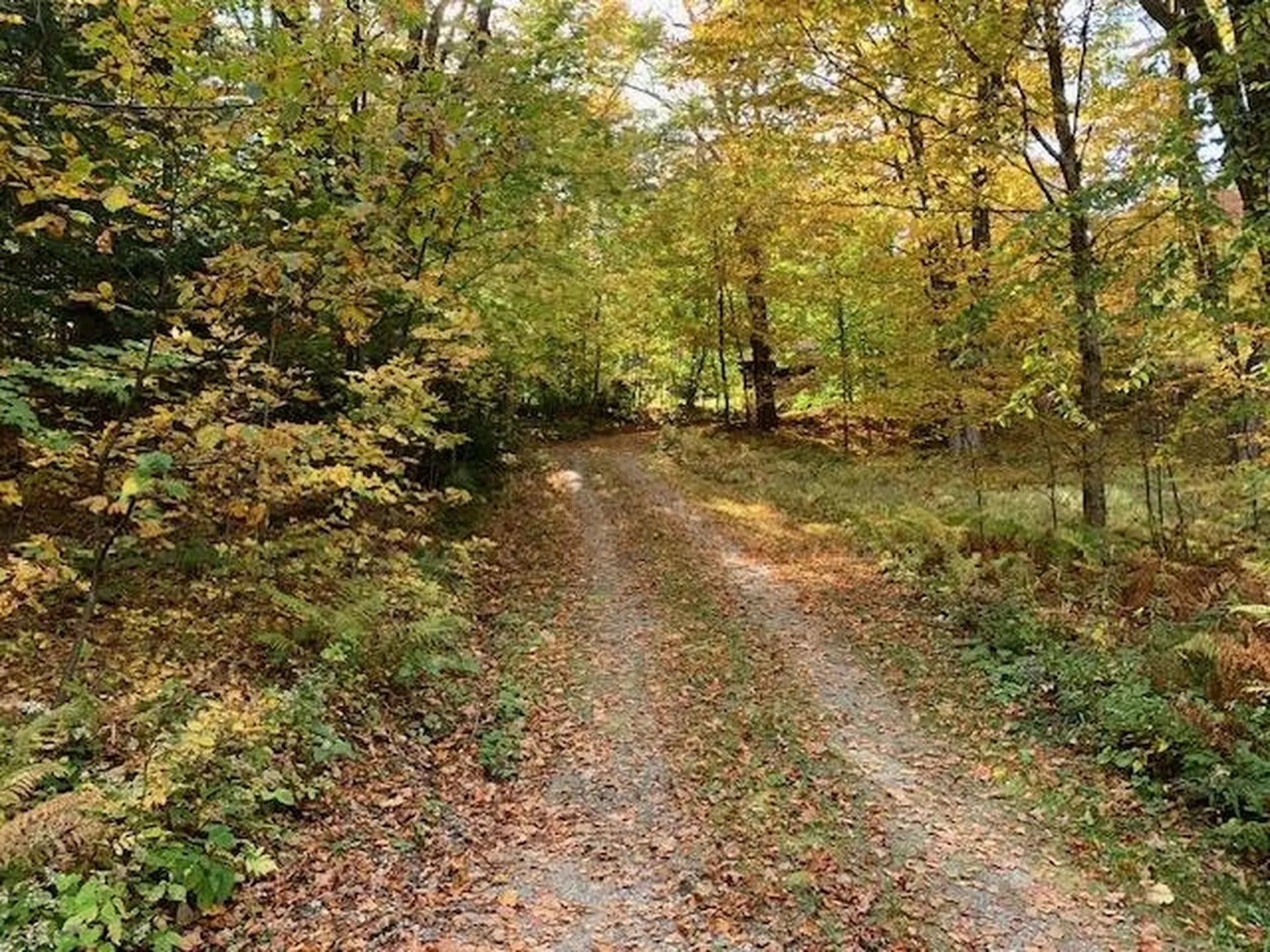 1747 Long Hill Road Woodstock VT 05091