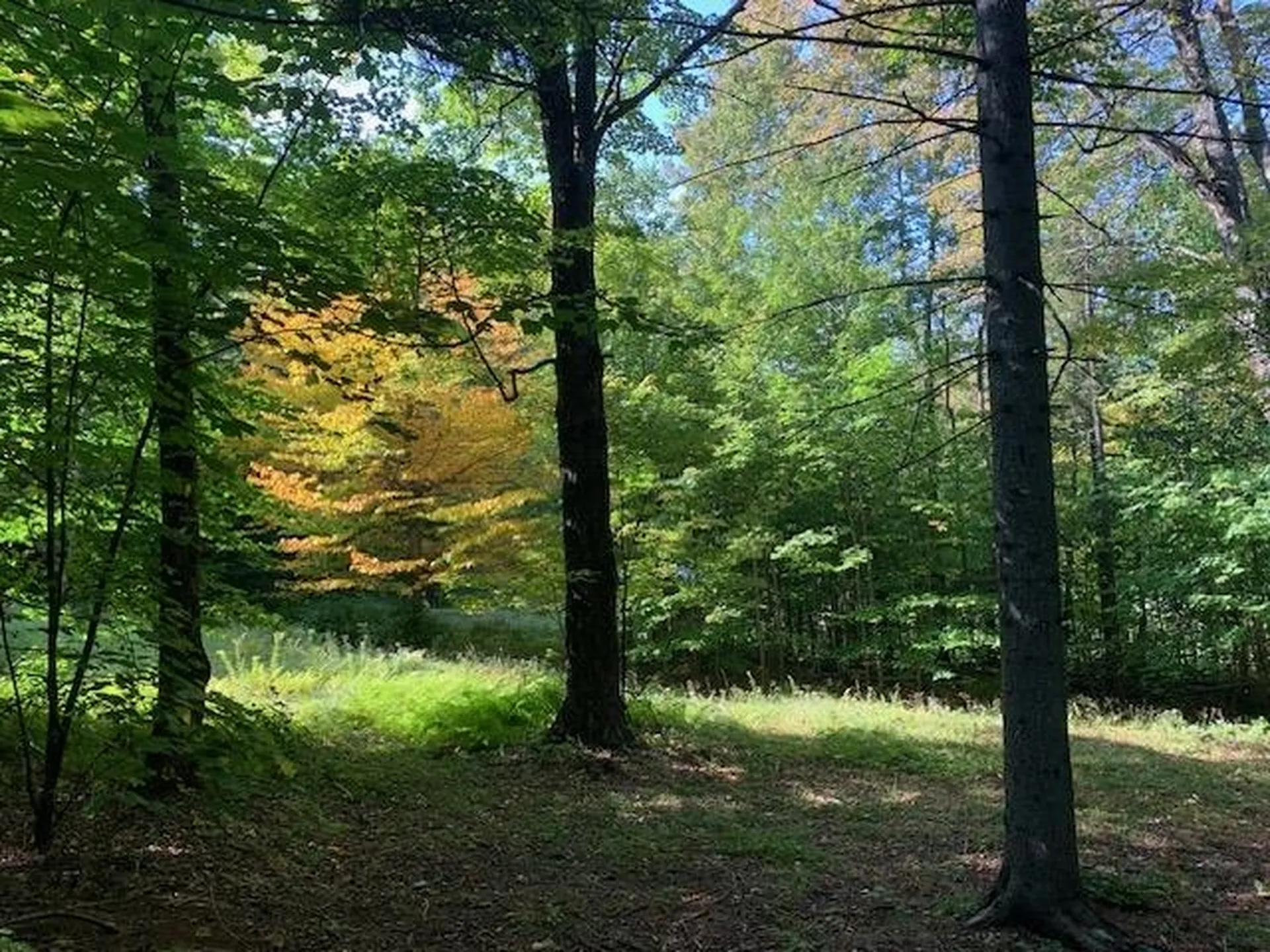 1747 Long Hill Road Woodstock VT 05091