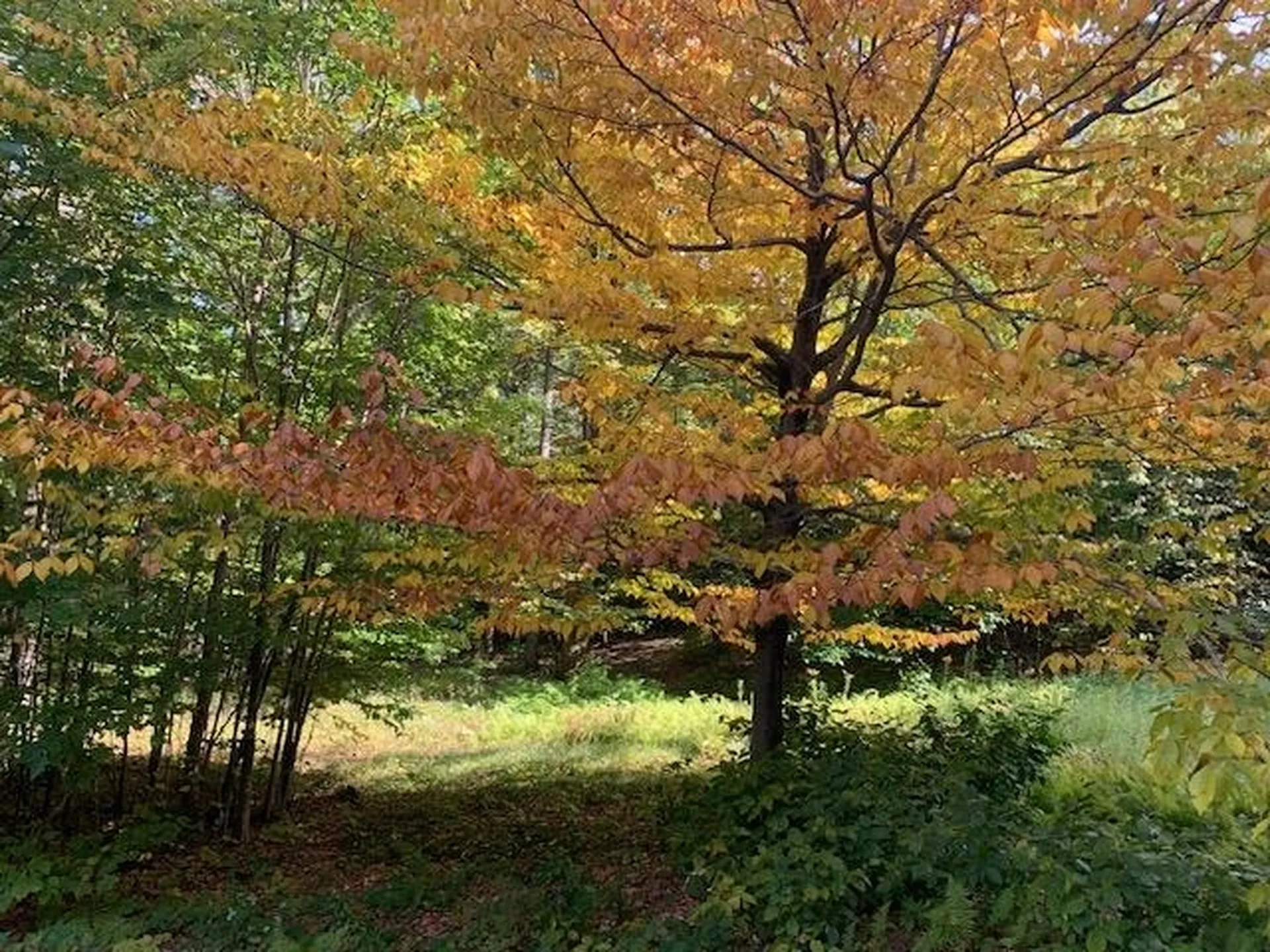 1747 Long Hill Road Woodstock VT 05091