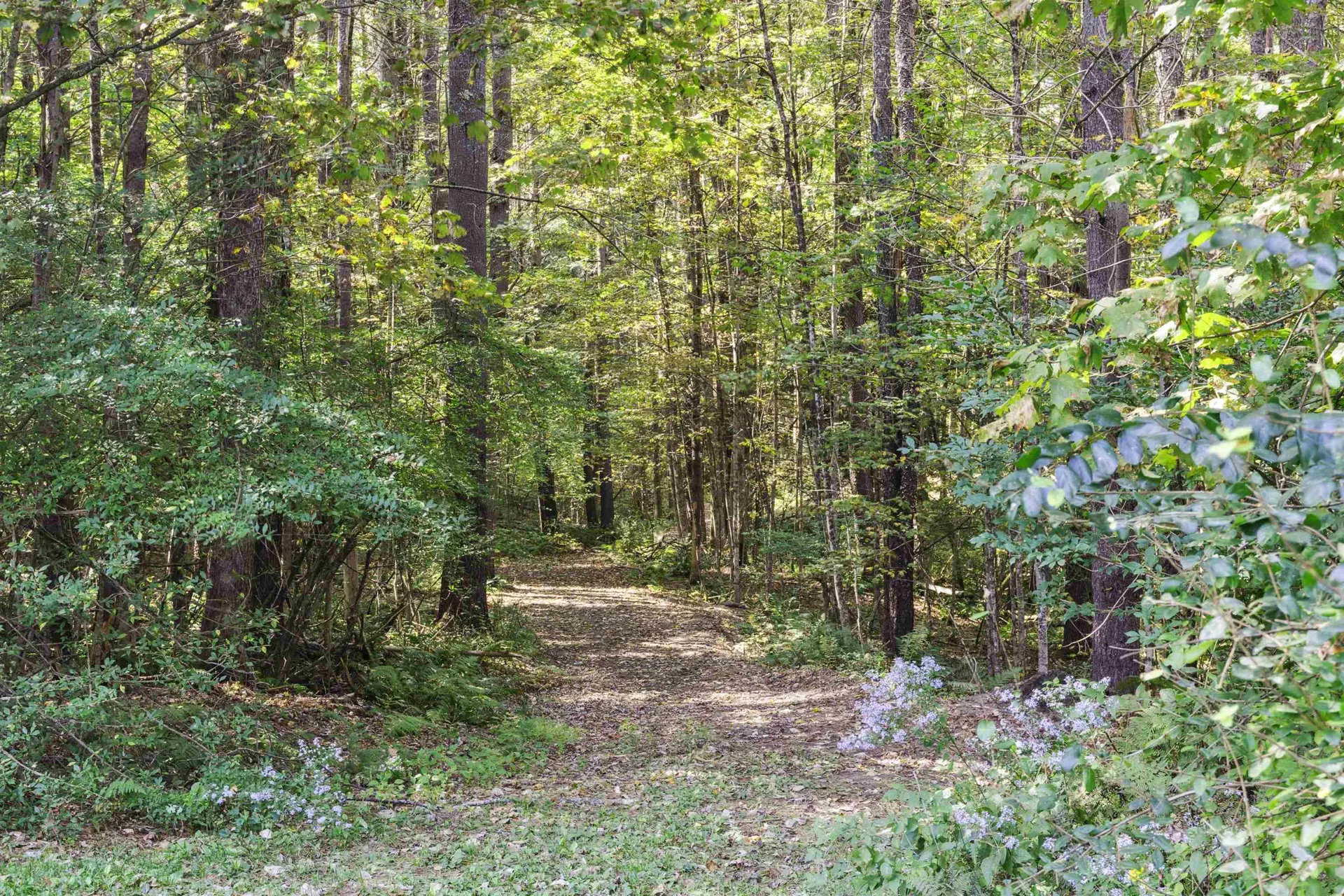 231 Platt Road Cornish NH 03745