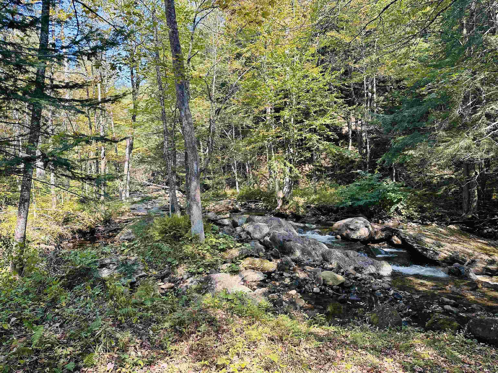 Foote Brook Road Johnson VT 05656